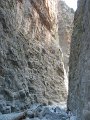 IMG_2226 - Copy